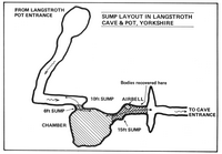 Descent 34 Langstroth Pot Sumps